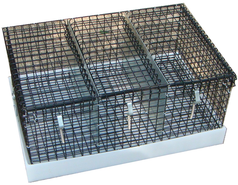 3 compartment show rabbit transporter cage Show rabbits, Meat rabbits