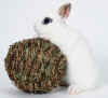 GrassBall.jpg (82480 bytes)