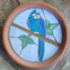 parakeet_blue.jpg (58946 bytes)