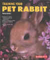 book_train_petrabbit.jpg (97952 bytes)