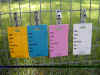 cagetag_id4color.jpg (57735 bytes)