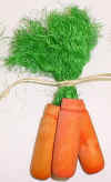 chew_3carrots.jpg (165916 bytes)