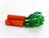 chew_3carrots.jpg (64678 bytes)