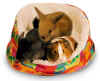 cuddlecup_62272.jpg (79406 bytes)