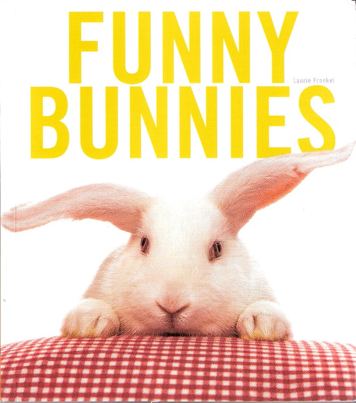 funny bunny. your very own Funny Bunny.