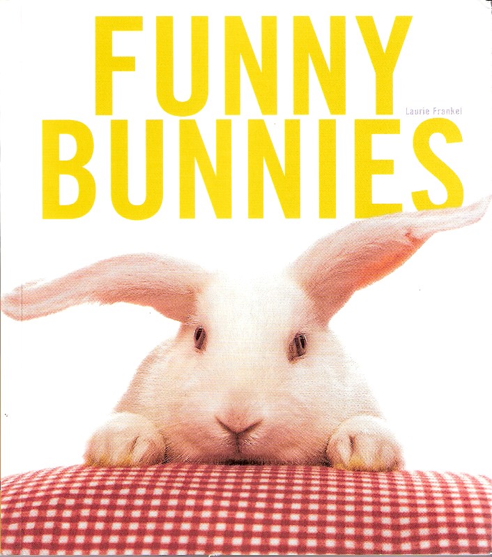 your very own Funny Bunny. funny bunny. your very own Funny Bunny.