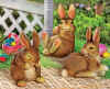92_476_3BigBunnies.jpg (45102 bytes)