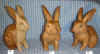 srab6-10-11-12.jpg (96966 bytes)