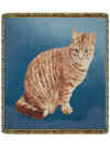 10187-goldtabby.jpg (128151 bytes)