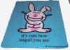 HBblanket-itscutehowstupid.jpg (34087 bytes)