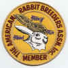 patch_arba.jpg (205423 bytes)