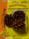 pinecone-mr00524.jpg (61567 bytes)