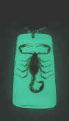 keychain_scorpion_realGLOW1.jpg (15428 bytes)