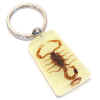 keychain_scorpion_realGLOW.jpg (17036 bytes)