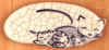 C6.jpg (19981 bytes)