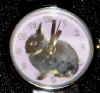 watch_NDotterPink.jpg (27183 bytes)