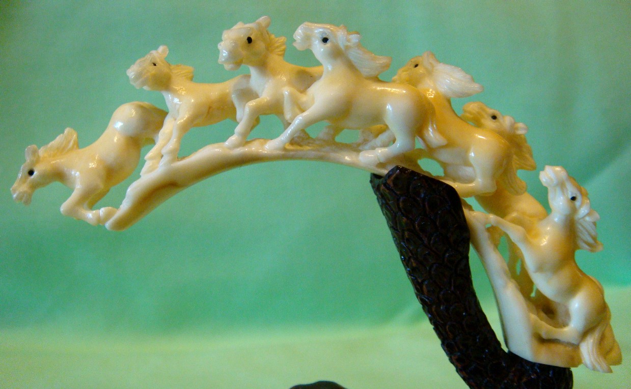 Horse 7