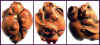 ojime_2buns_ojbw095.JPG (28653 bytes)