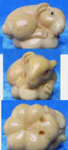 tagua106-RabbitOnSquash.jpg (63473 bytes)