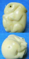 tagua46-wHat-1.jpg (36145 bytes)