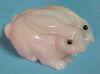 taguanut_LG2rabbit.jpg (13264 bytes)