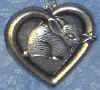 dwarfHeartS.jpg (9000 bytes)