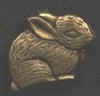 dwarf_gold.jpg (4551 bytes)
