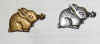 dwarf_lapel.jpg (70152 bytes)