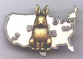 http://www.bunnyrabbit.com/jewelry/pinsbyKen/us_map_situp_gold.jpg