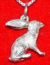 2703-rabbit.jpg (12129 bytes)
