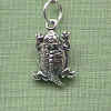 hornedToad-animalden.jpg (28208 bytes)