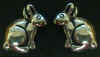 rabbit-animalDen.jpg (33184 bytes)