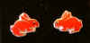 smRedRabbit.jpg (12201 bytes)