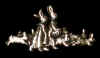 pin-rabbitFamily.jpg (42691 bytes)