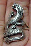 dragon_long.jpg (38285 bytes)
