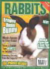 RabbitsMagazine.jpg (81299 bytes)
