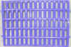 footpadPurp2.jpg (279701 bytes)