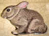 tshbhr-rabbit-shape2.jpg (338930 bytes)