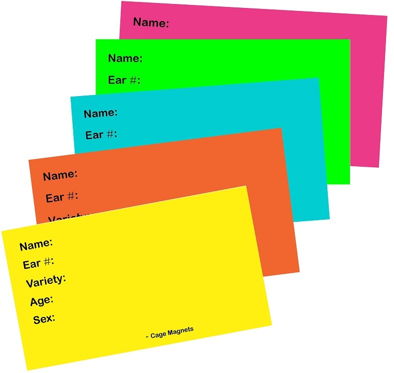 BUNNYRABBIT.com Cage Tags, Cagetag, plastic tag, plastic cagetag ...