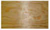 nestbox-floor.jpg (51668 bytes)