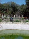 pond2.jpg (69570 bytes)