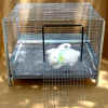stackcage1.jpg (163914 bytes)