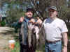 timkenfish.jpg (116517 bytes)