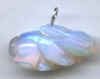 opalized.jpg (8109 bytes)
