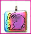 Dichroic_RainbowBunny.jpg (47965 bytes)