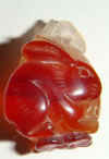 agate-orange.jpg (28096 bytes)