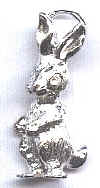 CH164_StandingRabbit.jpg (10909 bytes)