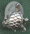 turtle.jpg (21056 bytes)